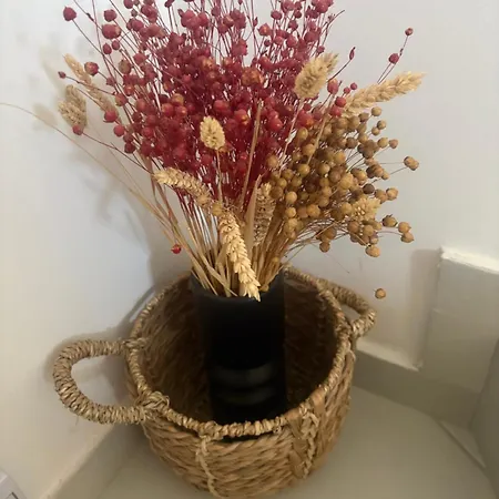 Lara Apartamento Maslinica